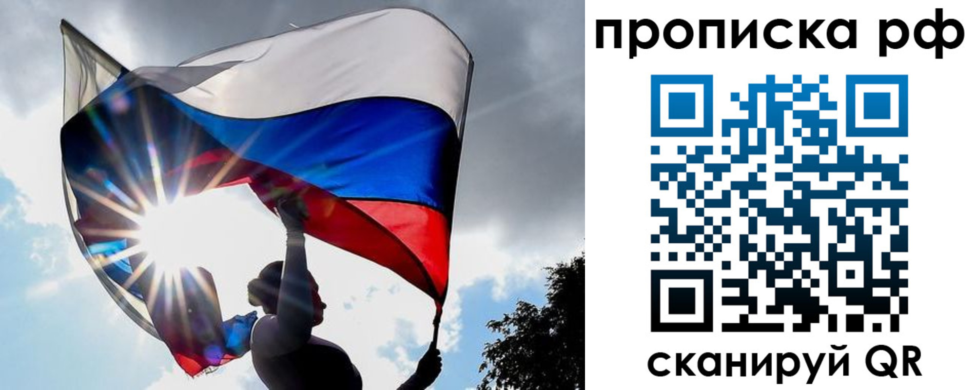 прописка для школы в Полярных Зорях